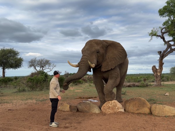 Close wildlife interaction experience