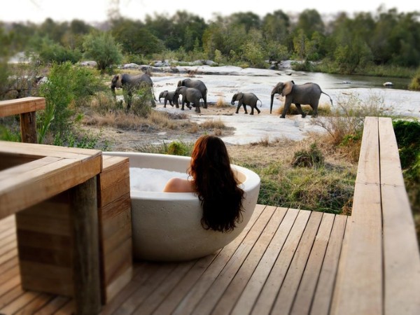 Luxury safari lodge property