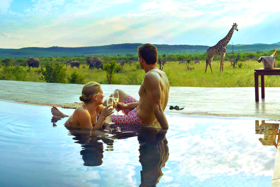 Romantic African honeymoon - couple in infinity pool with wildlife view