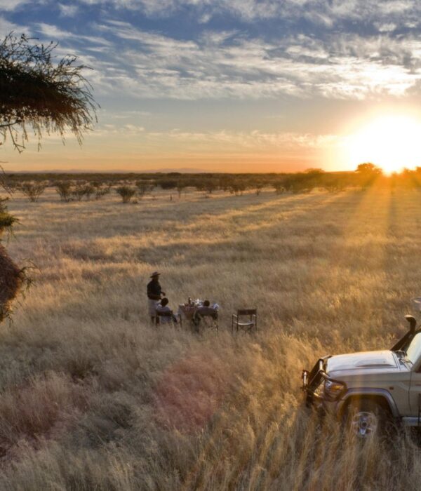 ETOSHA NATIONAL PARK