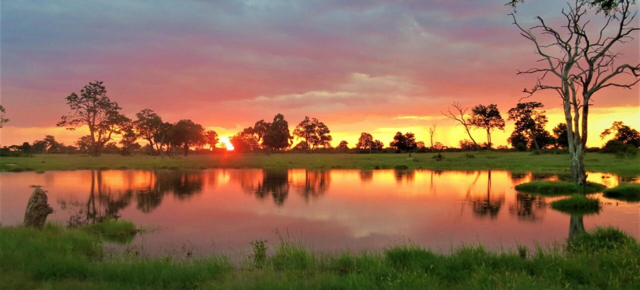 HWANGE NATIONAL PARK HERO