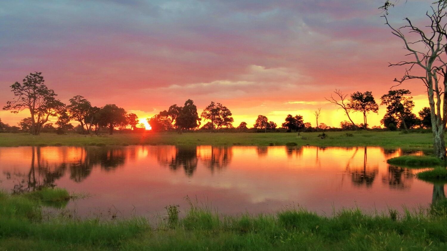 HWANGE NATIONAL PARK HERO