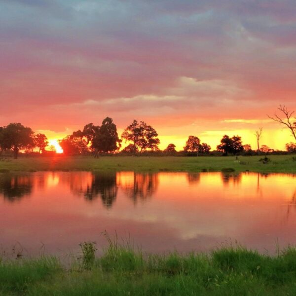 HWANGE NATIONAL PARK HERO