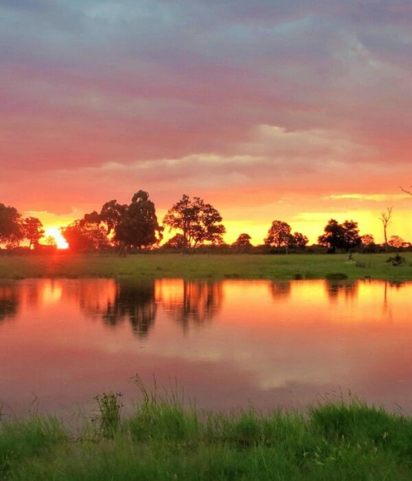 HWANGE NATIONAL PARK HERO