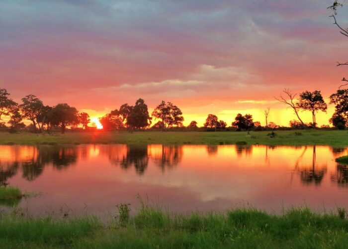 HWANGE NATIONAL PARK HERO