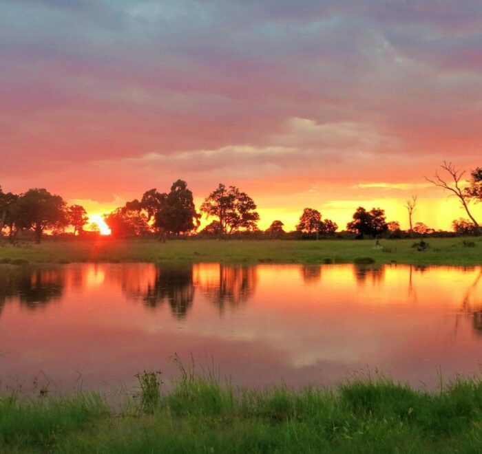 HWANGE NATIONAL PARK HERO