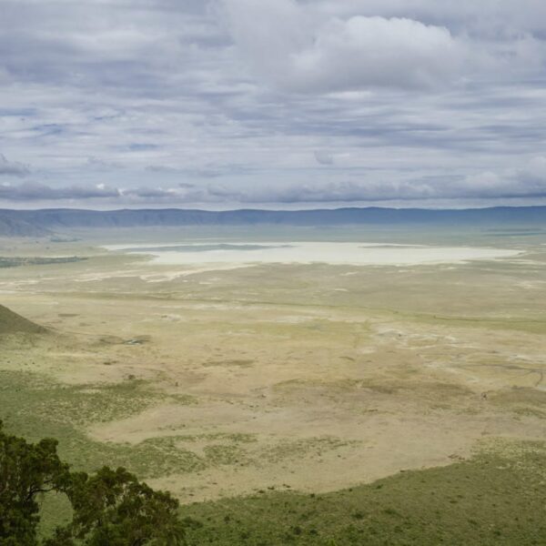 NGORONGORO CRATER TANZANIA