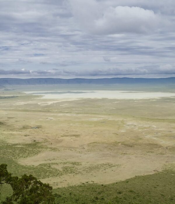 NGORONGORO CRATER TANZANIA