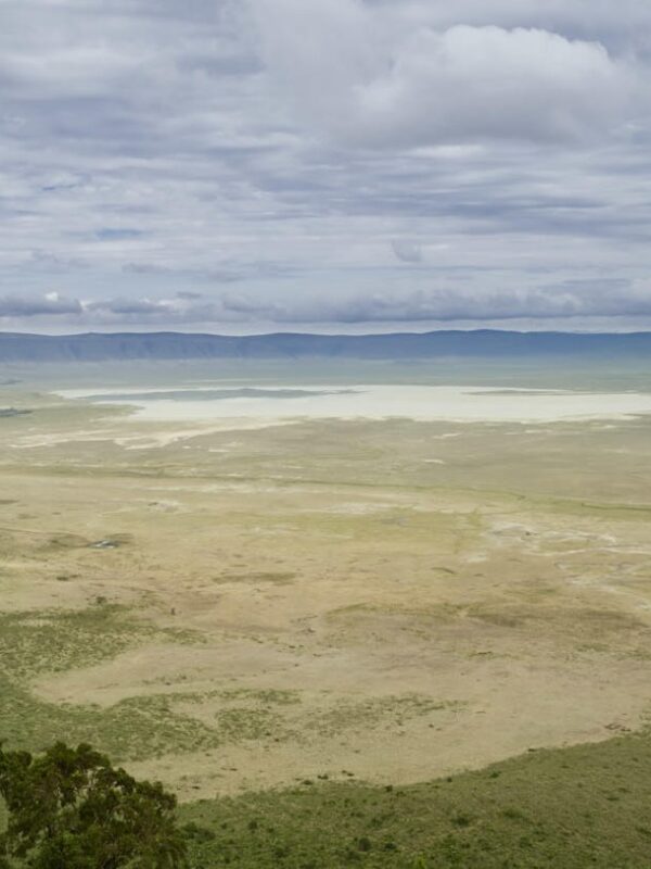 NGORONGORO CRATER TANZANIA