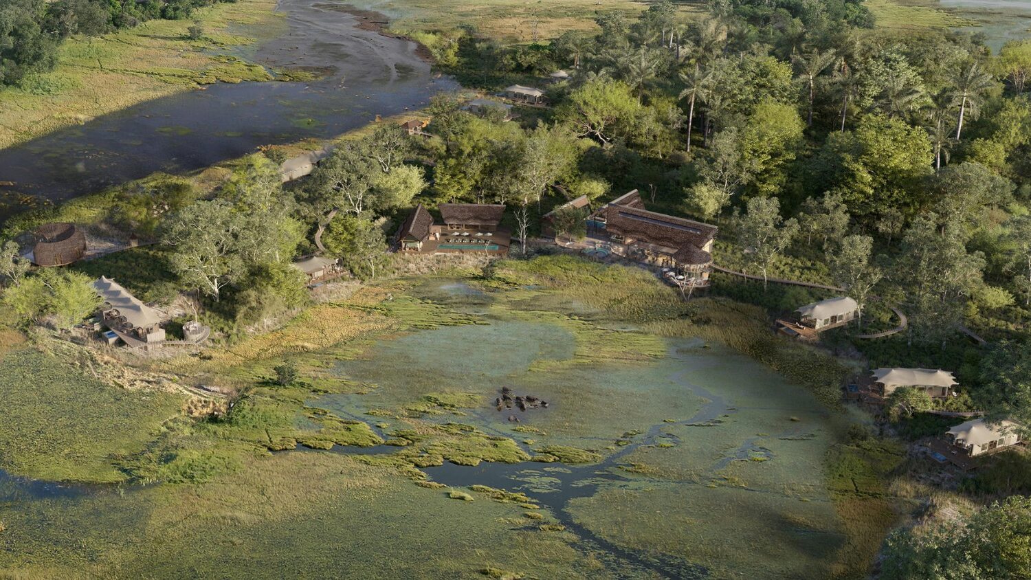 Okavango Delta Aerial Lodge View