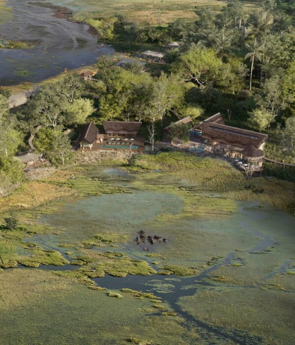 Okavango Delta Aerial Lodge View