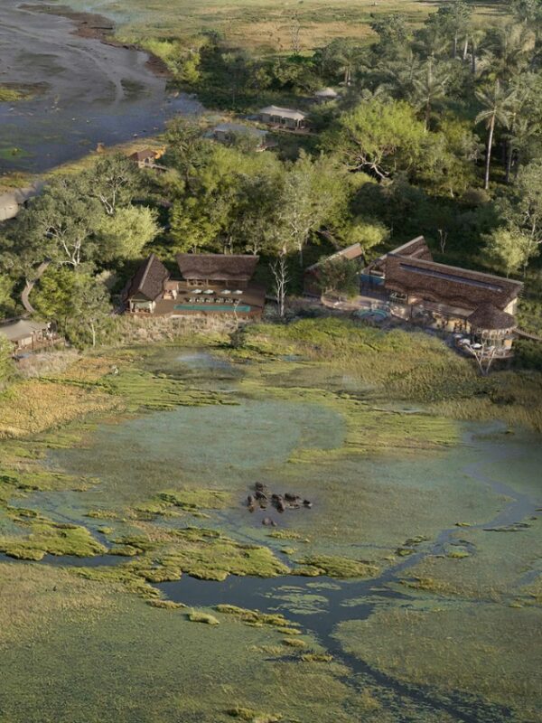 Okavango Delta Aerial Lodge View