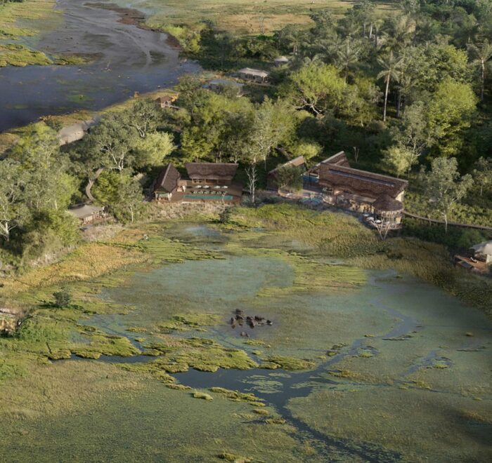 Okavango Delta Aerial Lodge View