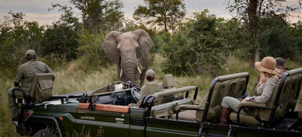 Royal Malewane Lodge - Game Drive Hero