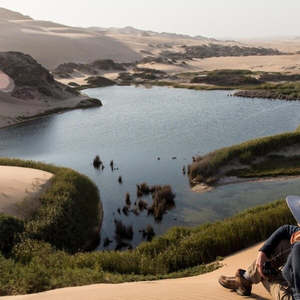 SKELETON COAST VIEW