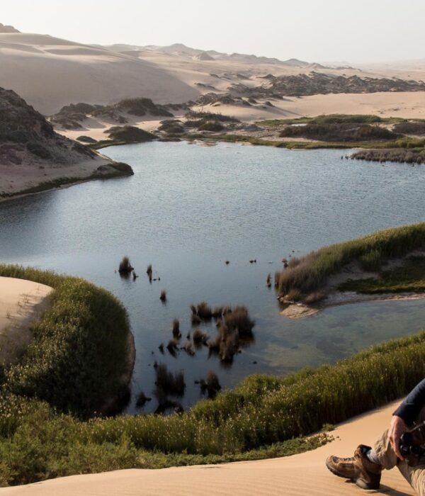 SKELETON COAST VIEW