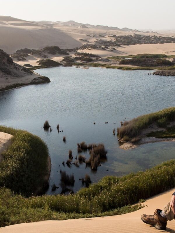 SKELETON COAST VIEW