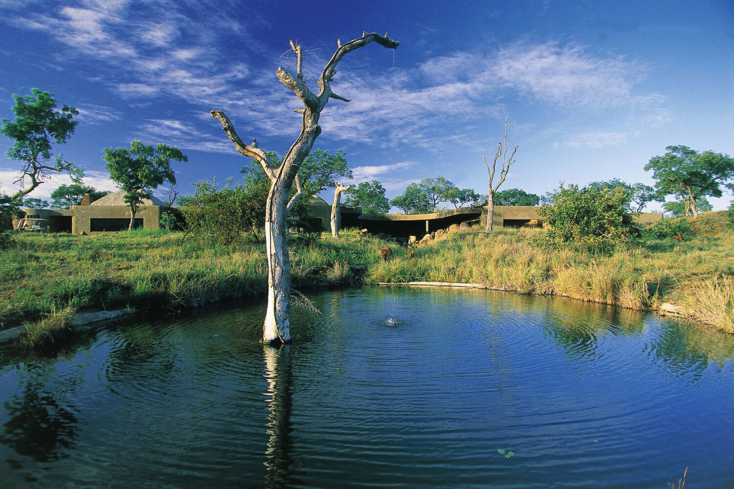 SABI SABI EARTH LODGE KRUGER PARK