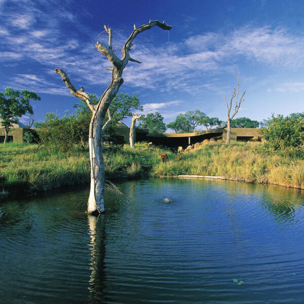 SABI SABI EARTH LODGE KRUGER PARK