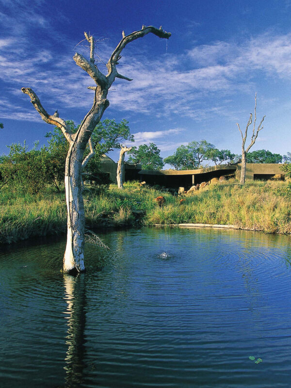 SABI SABI EARTH LODGE KRUGER PARK