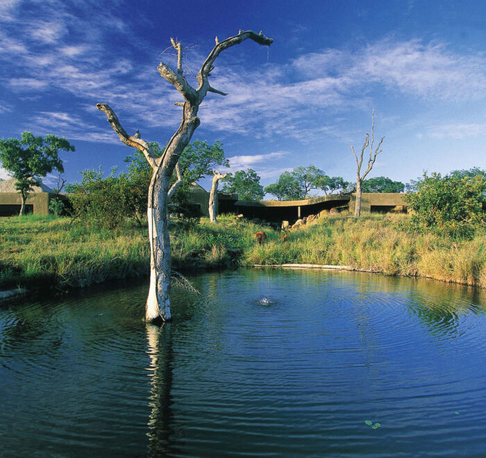 SABI SABI EARTH LODGE KRUGER PARK