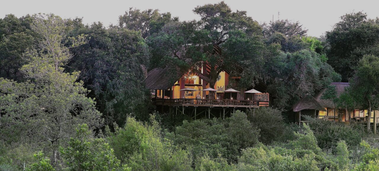 Londolozi Varty Camp