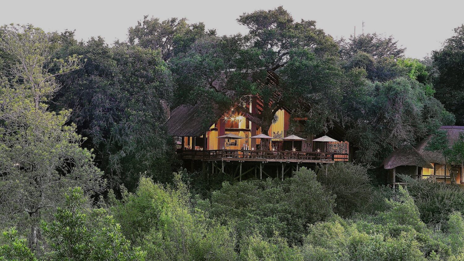 Londolozi Varty Camp