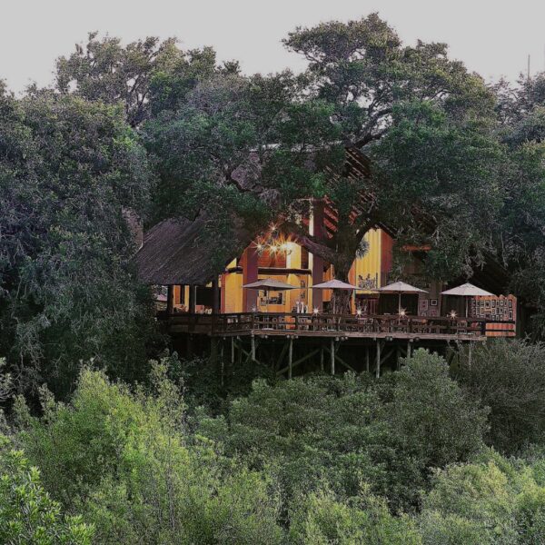 Londolozi Varty Camp