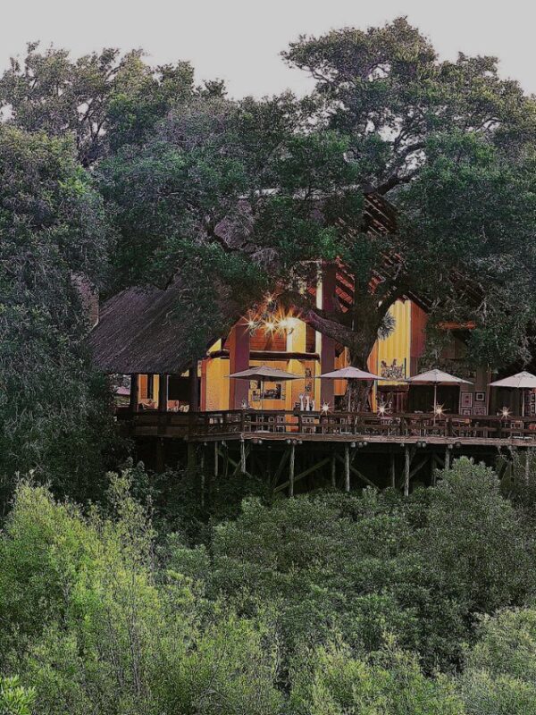 Londolozi Varty Camp