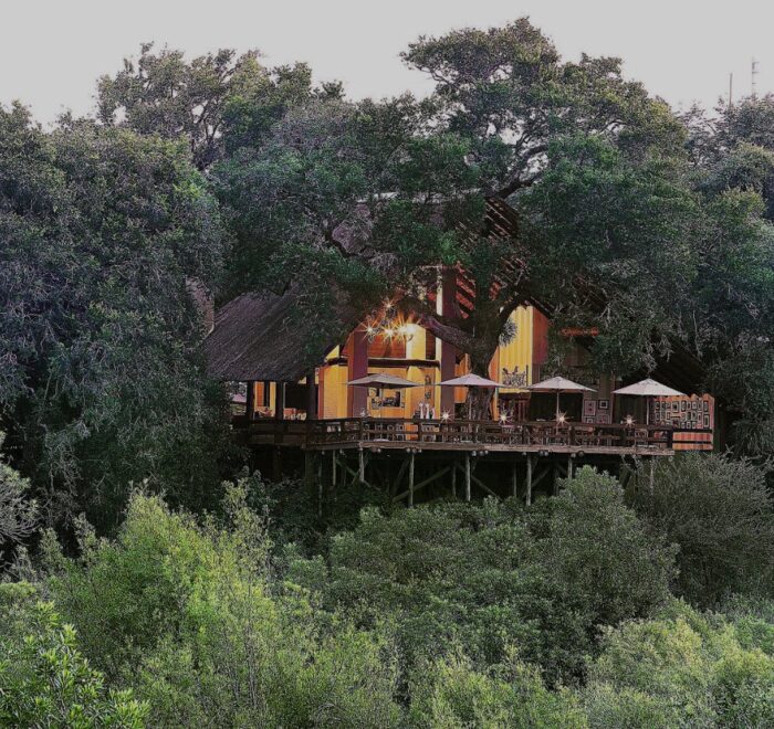 Londolozi Varty Camp