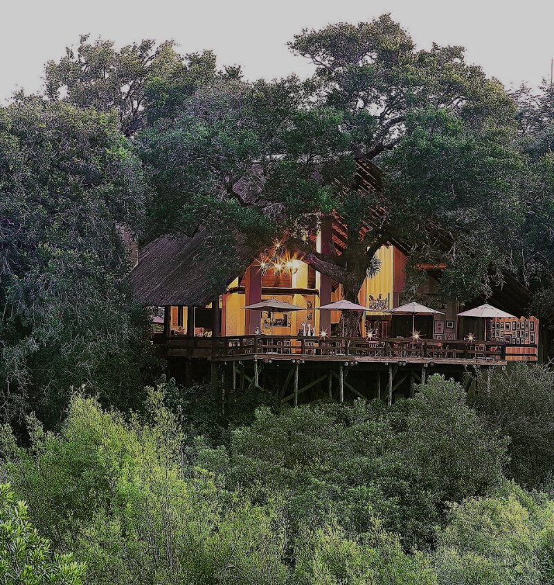 Londolozi Varty Camp