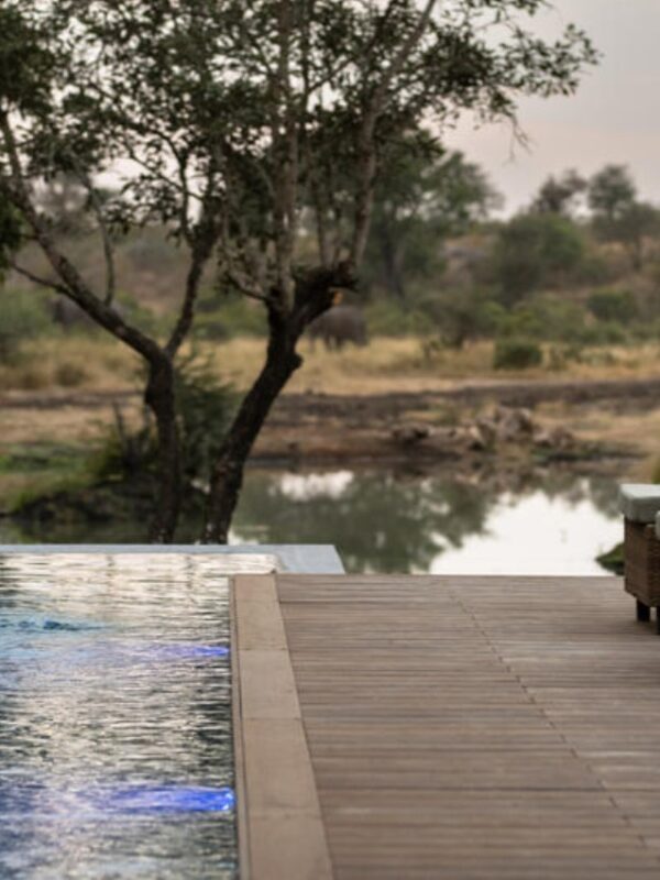 Tanda Tula Safari Lodge Kruger Park Hero Image