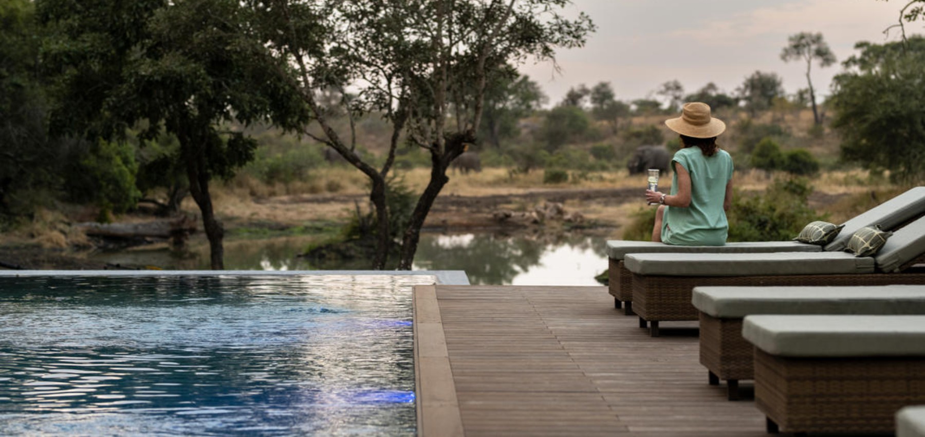 Tanda Tula Safari Lodge Kruger Park Hero Image